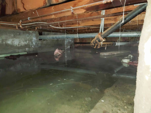 Best Local water damage restoration  in Lindenhurst, NY