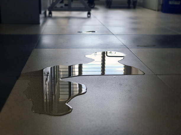 Best Professional water damage repair  in Lindenhurst, NY