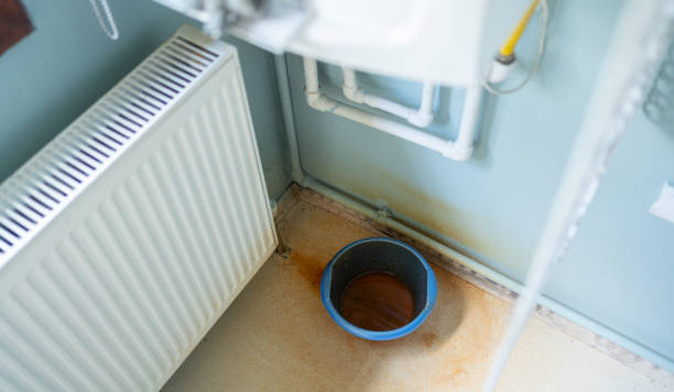 Best Mold removal after water damage  in Lindenhurst, NY