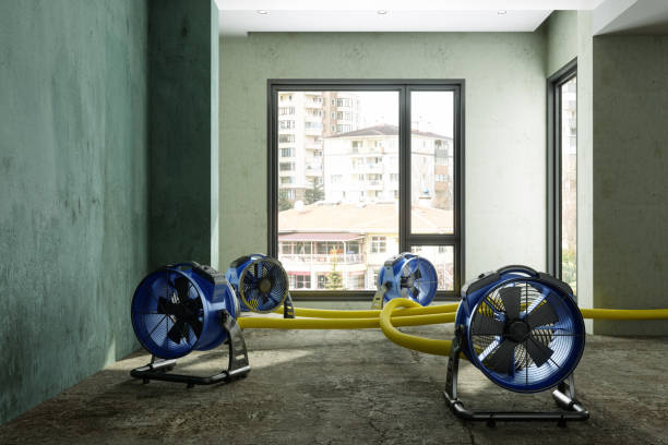 Best Emergency water damage restoration  in Lindenhurst, NY